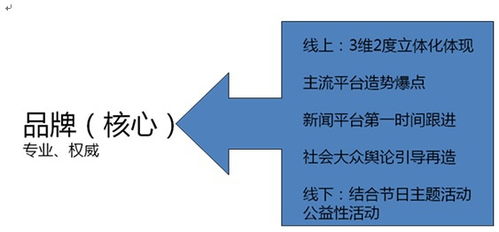 華夏品牌整合營銷運營戰略規劃與項目營銷策劃方案